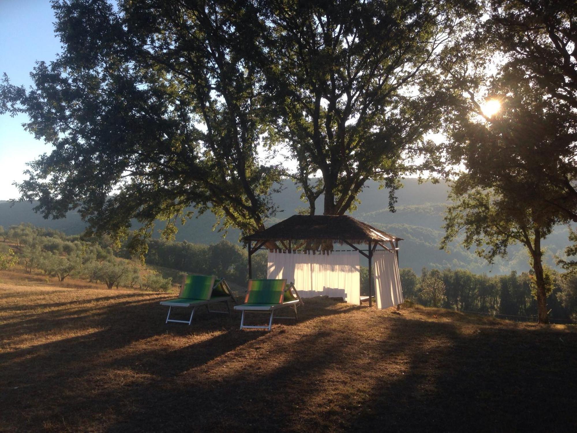 Gasthaus Agriturismo Colle Donatucci Castagneto Carducci Exterior foto