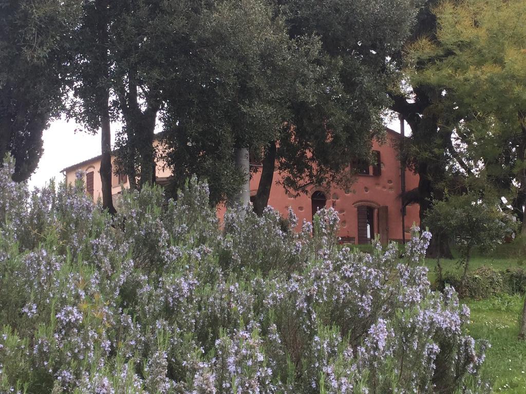 Gasthaus Agriturismo Colle Donatucci Castagneto Carducci Exterior foto