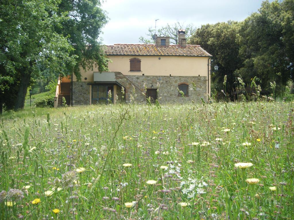Gasthaus Agriturismo Colle Donatucci Castagneto Carducci Exterior foto